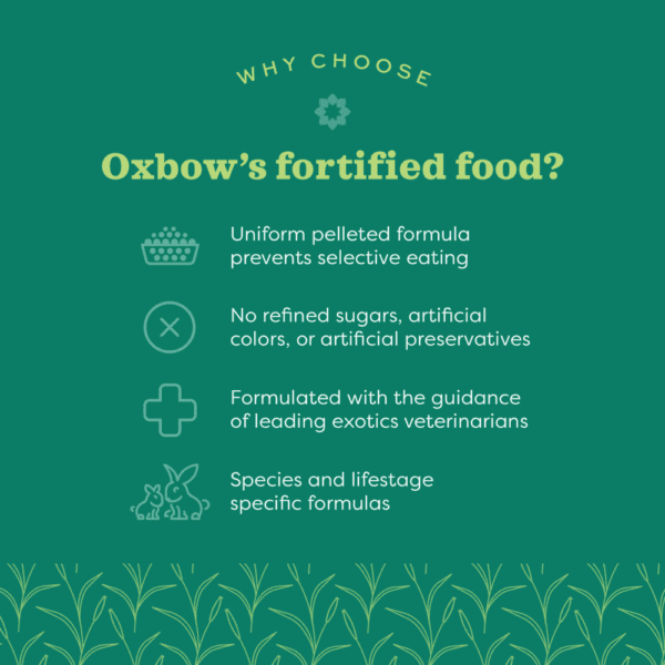 Oxbow Garden Select Young Guinea Pig Food - Image 3