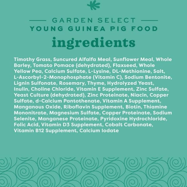 Oxbow Garden Select Young Guinea Pig Food - Image 5