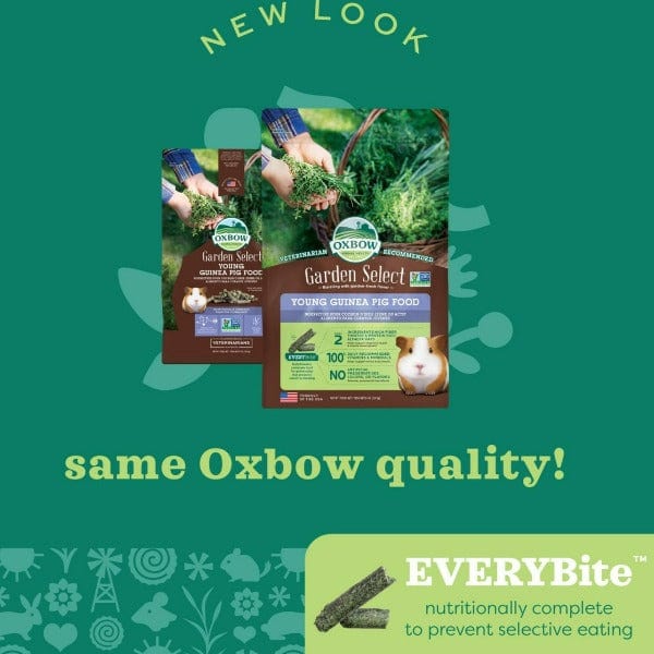 Oxbow Garden Select Young Guinea Pig Food - Image 8