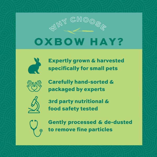 Oxbow Harvest Stacks Western Timothy with Carrots - Image 4