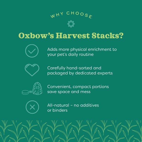 Oxbow Harvest Stacks Western Timothy with Carrots - Image 6