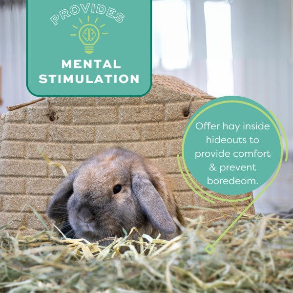 Oxbow Hay Blends Western Timothy & Orchard Grass - Image 4