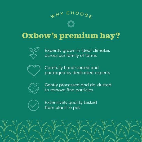 Oxbow Hay Blends Western Timothy & Orchard Grass - Image 7