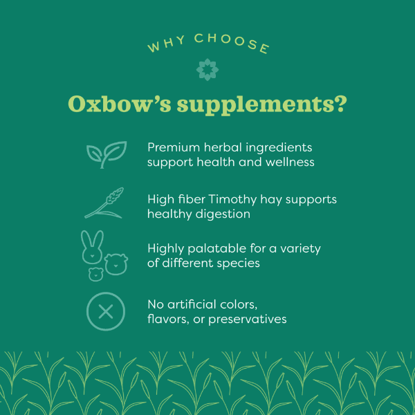 Oxbow Natural Science Urinary Support - Image 3