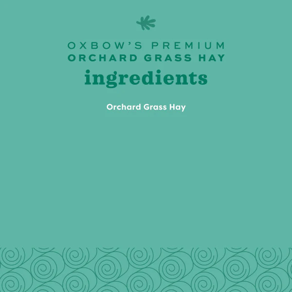 Oxbow Orchard Grass Hay - Image 11