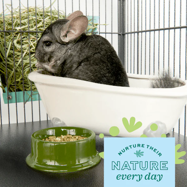 Oxbow Poof! Chinchilla Dust Bath - Image 2