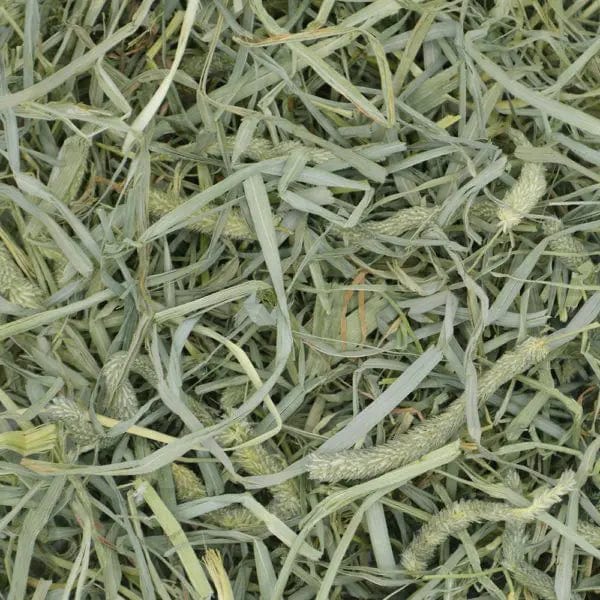 Oxbow Prime Cut Hay; Hearty & Crunchy - Image 2
