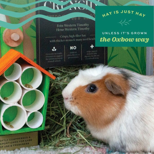 Oxbow Prime Cut Hay; Hearty & Crunchy - Image 3