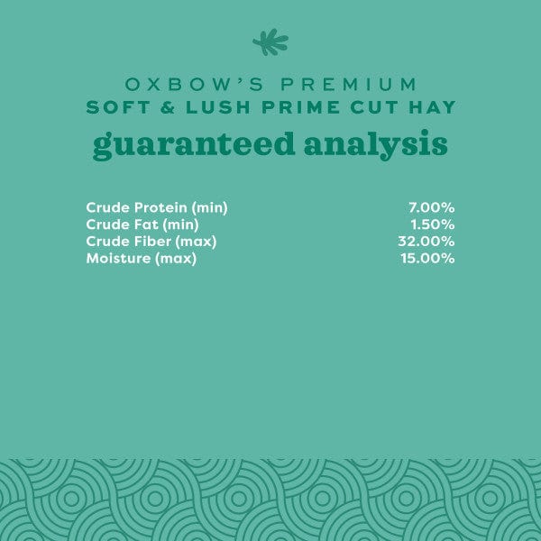 Oxbow Prime Cut Hay; Soft & Lush - Image 11