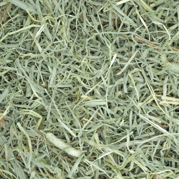 Oxbow Prime Cut Hay; Soft & Lush - Image 2