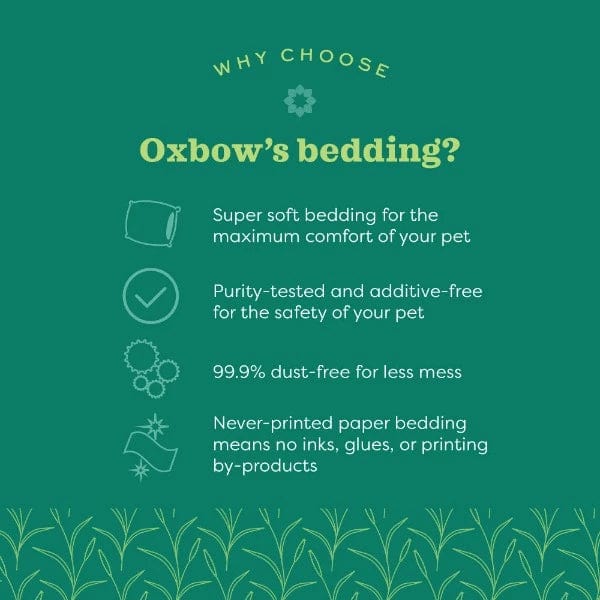 Oxbow Pure Comfort Natural Bedding - Image 3