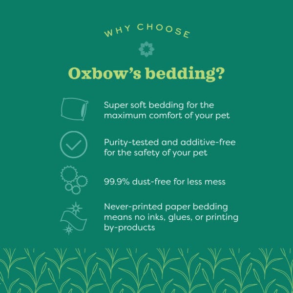 Oxbow Pure Comfort White Bedding - Image 3
