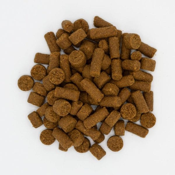 Oxbow Real Prey Rewards Turkey Ferret Treats - Image 2