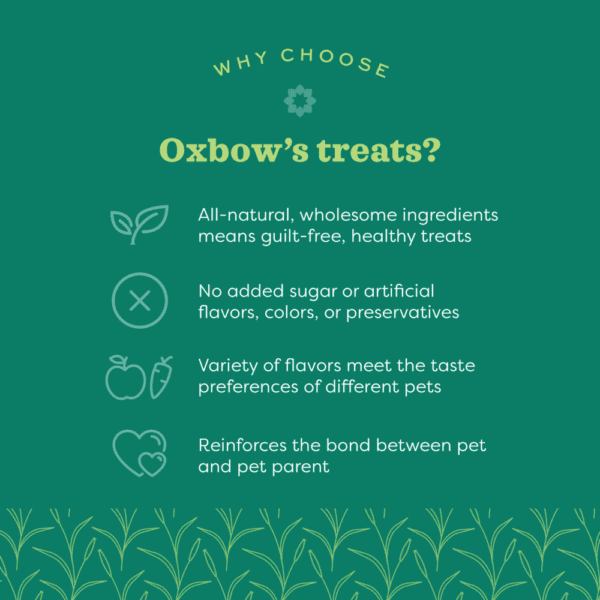 Oxbow Simple Rewards Baked Treats with Apple & Banana - Image 3