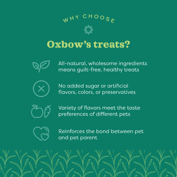 Oxbow Simple Rewards Freeze Dried Strawberry Treats - Image 3