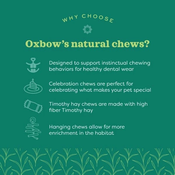 Oxbow Timothy Club - Timothy Twists - Image 5