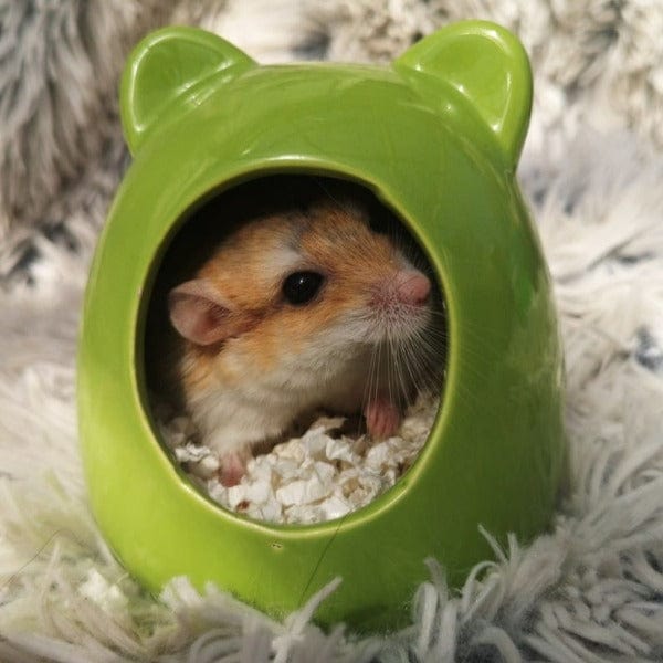 Pawise Ceramic Rodent Bath House - Image 2