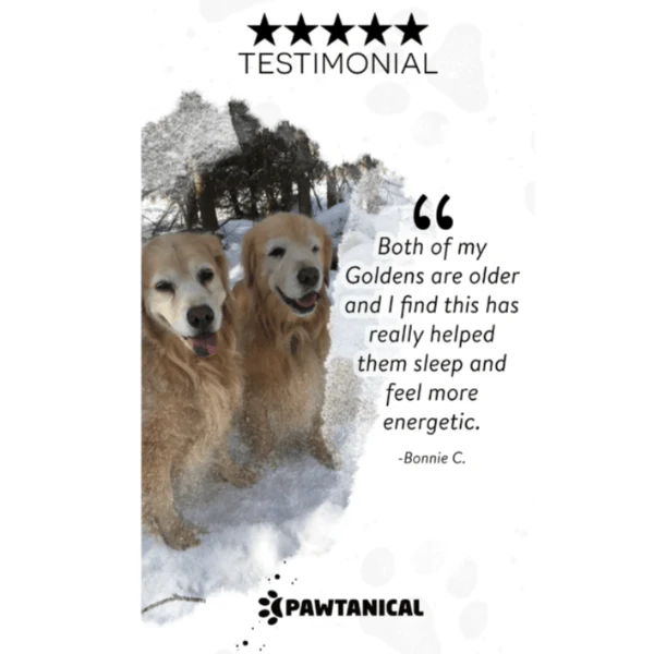 Pawtanical PawDaily Full Spectrum Health Oil For Pets - Image 6