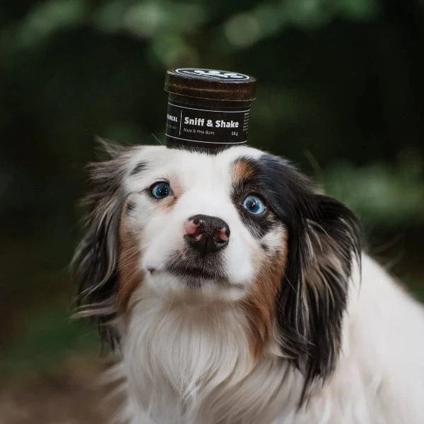 Pawtanical Sniff & Shake - Nose & Paw Balm - Image 3