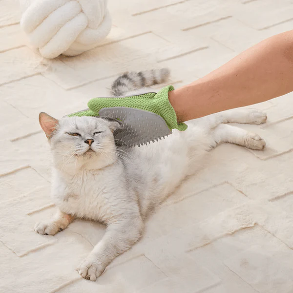 PetPals Grooming Glove - Image 3