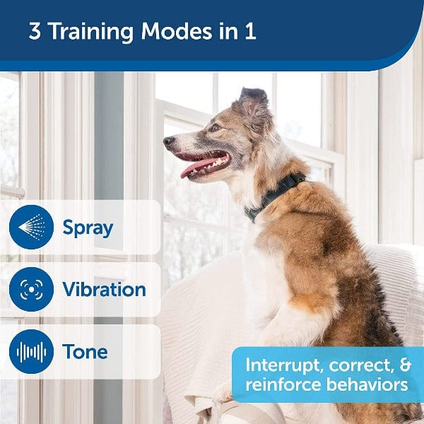 PetSafe Remote Spray Trainer; 300 Metre - Image 2