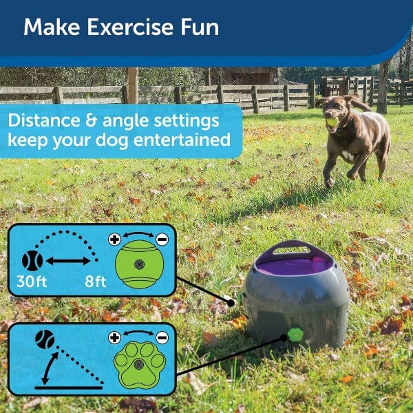 PetSafe Automatic Ball Launcher - Image 5