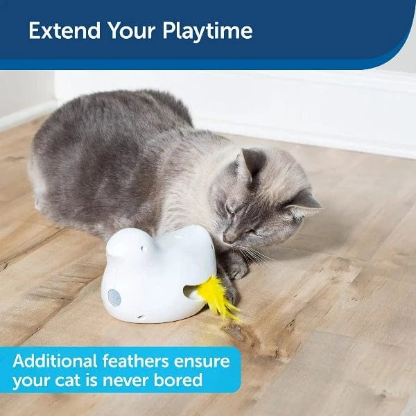 PetSafe Peek-A-Bird Cat Toy Replacement Feathers - Image 2