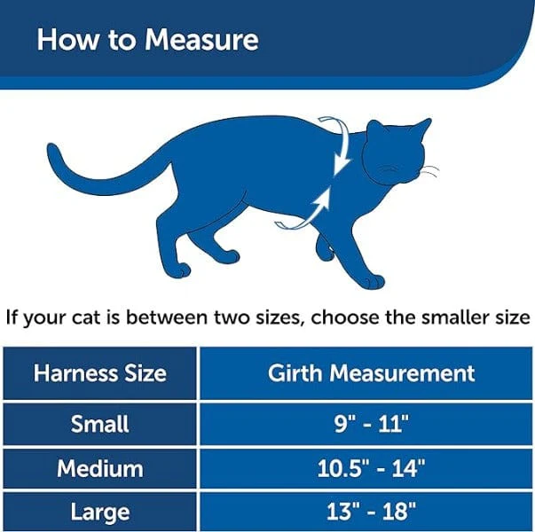 PetSafe Come With Me Kitty Harness & Bungee Leash for Cats - Image 10