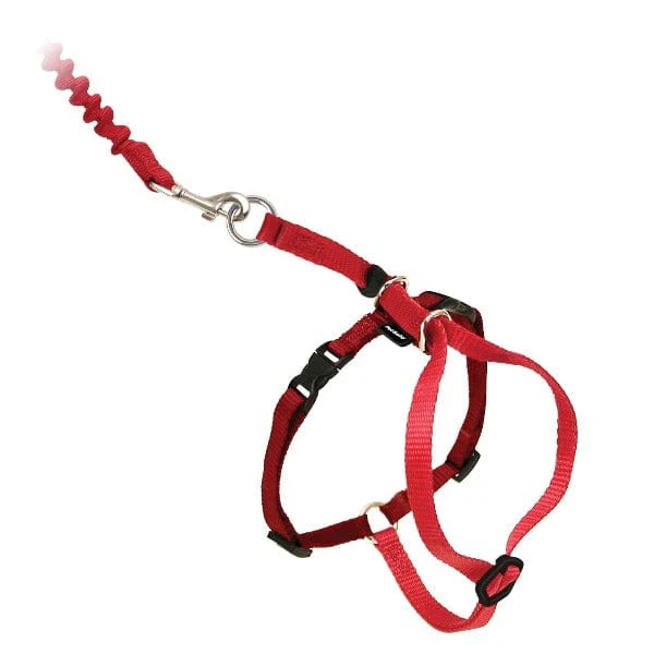 PetSafe Come With Me Kitty Harness & Bungee Leash for Cats - Image 3