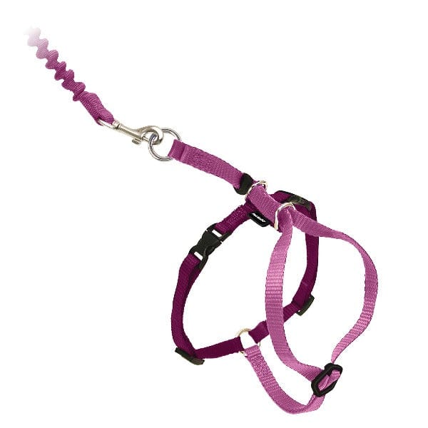 PetSafe Come With Me Kitty Harness & Bungee Leash for Cats - Image 5