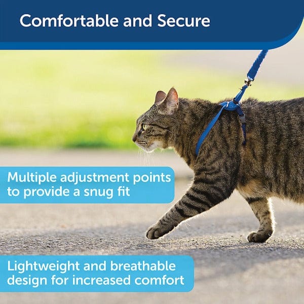 PetSafe Come With Me Kitty Harness & Bungee Leash for Cats - Image 7