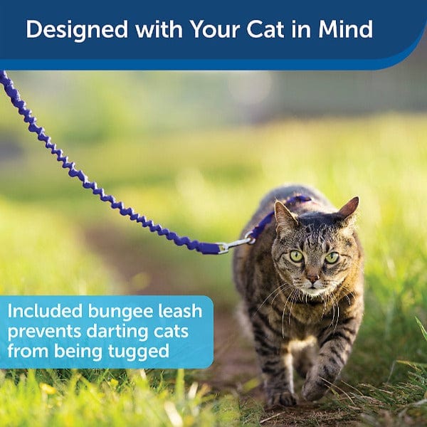 PetSafe Come With Me Kitty Harness & Bungee Leash for Cats - Image 8