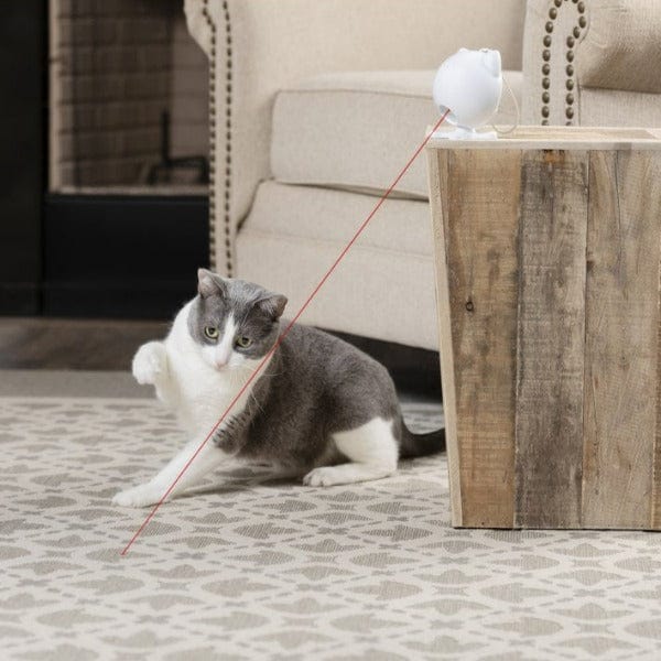 PetSafe Dancing Dot Laser Cat Toy - Image 5