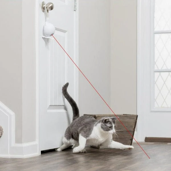 PetSafe Dancing Dot Laser Cat Toy - Image 6