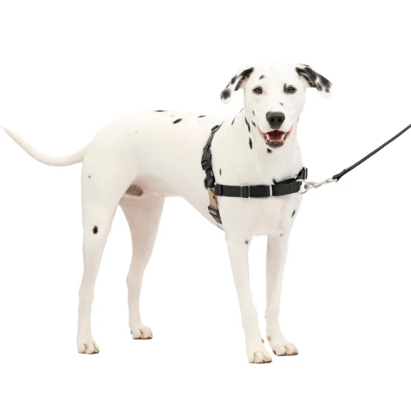 PetSafe Easy Walk Harness with Lead - Image 10