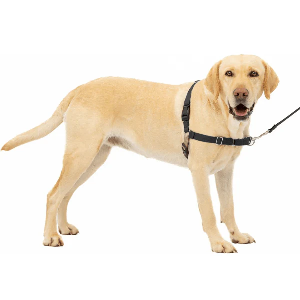 PetSafe Easy Walk Harness with Lead - Image 11