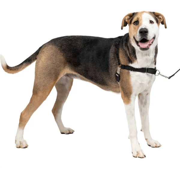 PetSafe Easy Walk Harness with Lead - Image 12