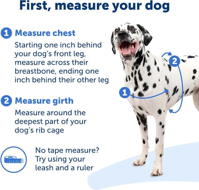 PetSafe Easy Walk Harness with Lead - Image 3