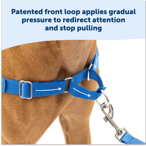 PetSafe Easy Walk Harness with Lead - Image 4