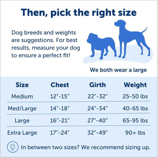 PetSafe Easy Walk Harness with Lead - Image 6