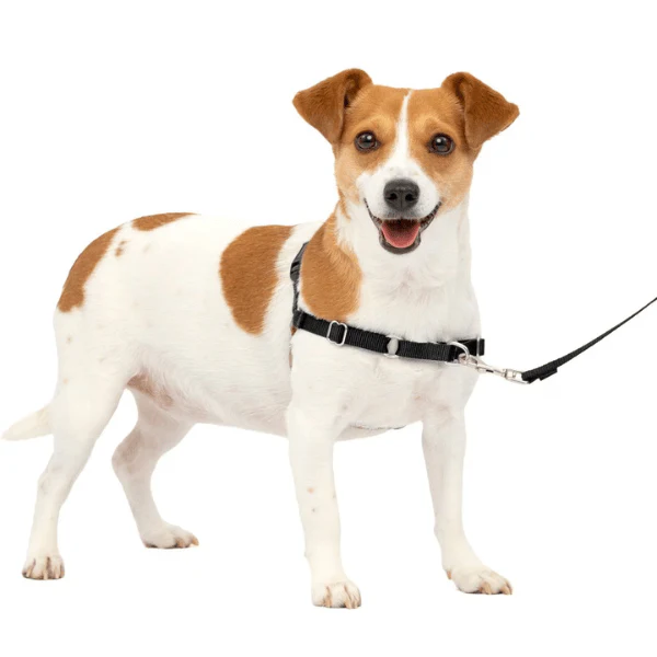 PetSafe Easy Walk Harness with Lead - Image 7