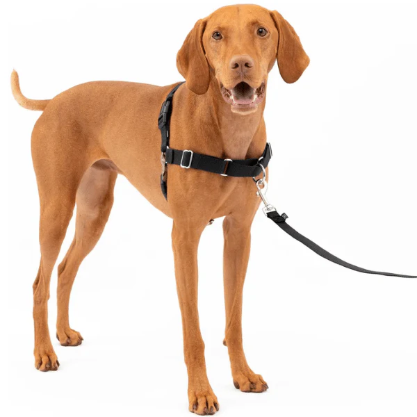 PetSafe Easy Walk Harness with Lead - Image 9