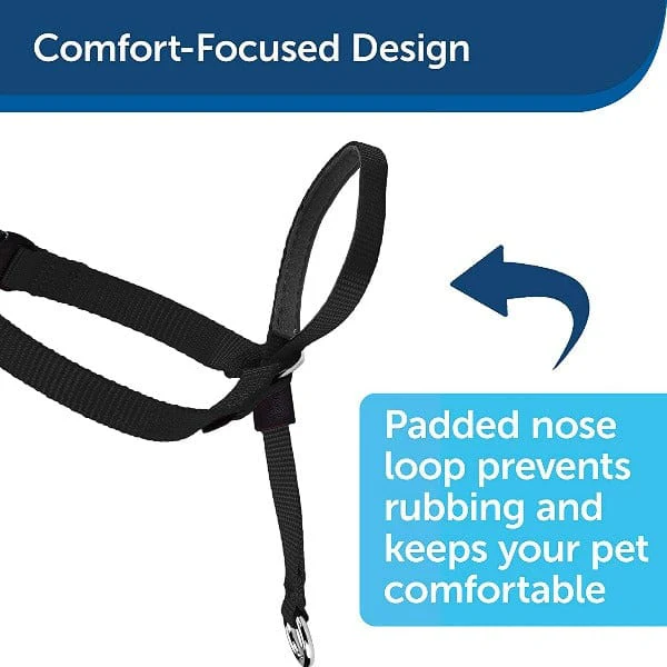 PetSafe Easy Walk Headcollar for Dogs - Image 4