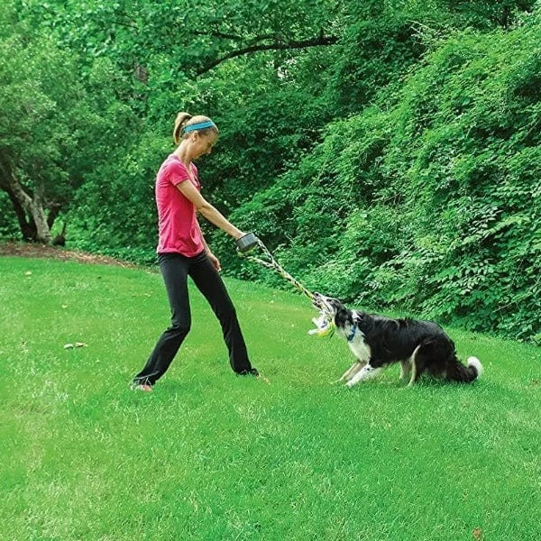 PetSafe Grip 'n' Tug Dog Toy - Image 4