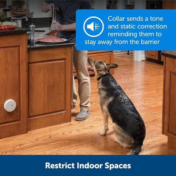 PetSafe Instant Barrier with One Zone - Image 3