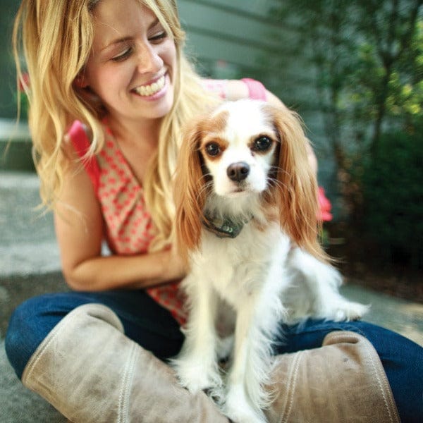 PetSafe Little Dog Deluxe In-Ground Fence System - Image 4
