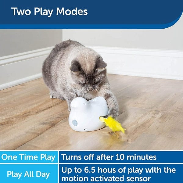 PetSafe Peek-A-Bird Electronic Cat Toy - Image 3