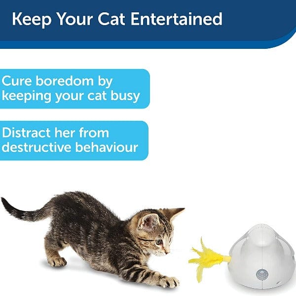 PetSafe Peek-A-Bird Electronic Cat Toy - Image 5