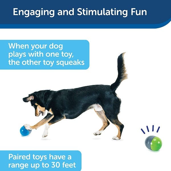 PetSafe Ricochet Electronic Dog Toy - Image 2