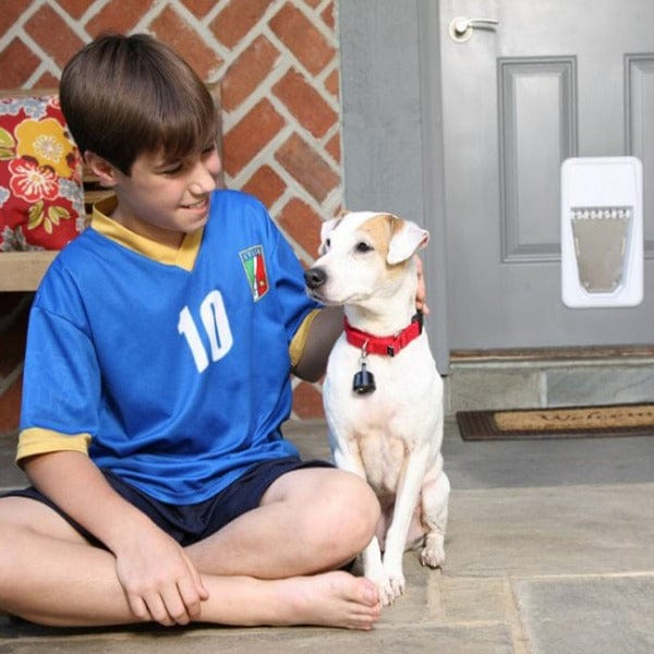 PetSafe Electronic SmartKey Collar Key - Image 3